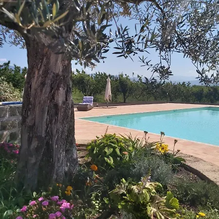 Tenuta Terre Dei Latini Bauernhof Segni