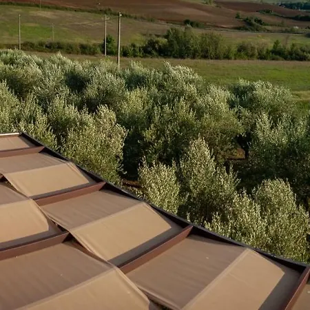 Tenuta Terre Dei Latini Gospodarstwo agroturystyczne Segni