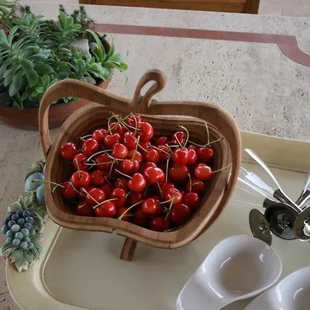 Tenuta Terre Dei Latini * Segni