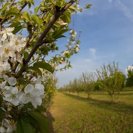Tenuta Terre Dei Latini Segni