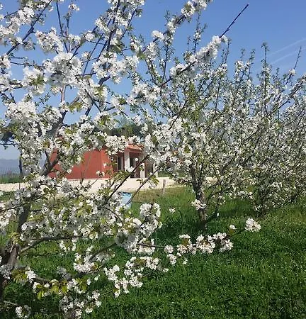 Tenuta Terre Dei Latini