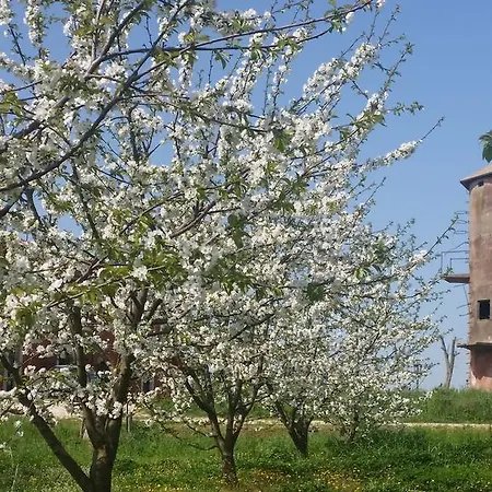Tenuta Terre Dei Latini Gospodarstwo agroturystyczne