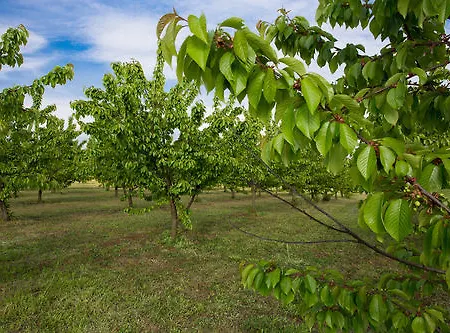 Tenuta Terre Dei Latini Farm stay