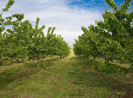 Farm stay Tenuta Terre Dei Latini *